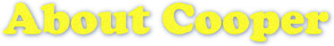 About Cooper